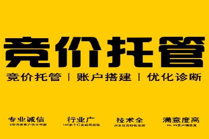 案例剖析：SEM网络推广助力品牌快速崛起